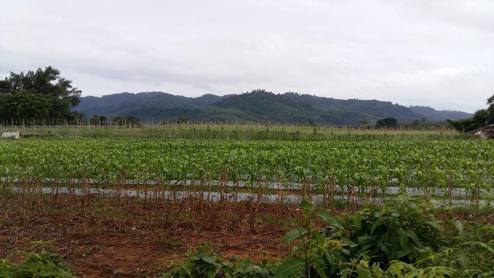 Dachatorn Village Khao Lak Exterior foto